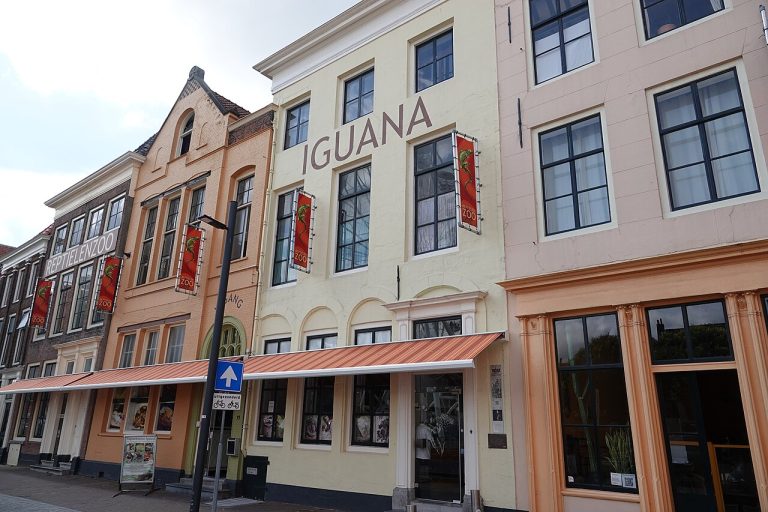 Expositie in Reptielenzoo Iguana — Musea in Vlissingen